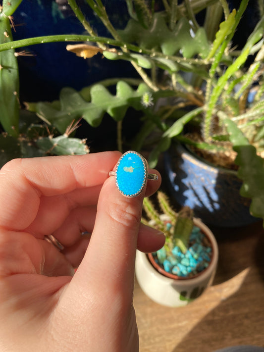 Kingman Turquoise Ring Size 8