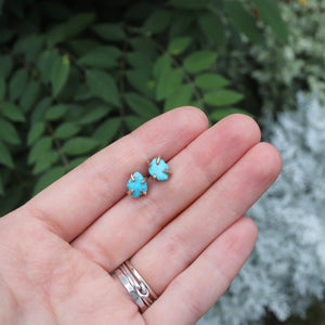 raw sonoran gold turquoise stone stud earrings
